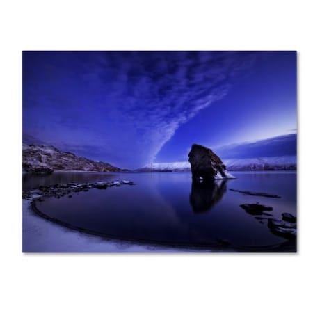 Bragi Ingibergsson 'Awakening' Canvas Art,24x32